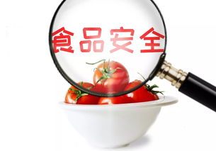 守護舌尖安全，共筑食安淄博——關(guān)于征集市民最關(guān)心的食品安全與餐飲管理問題的倡議